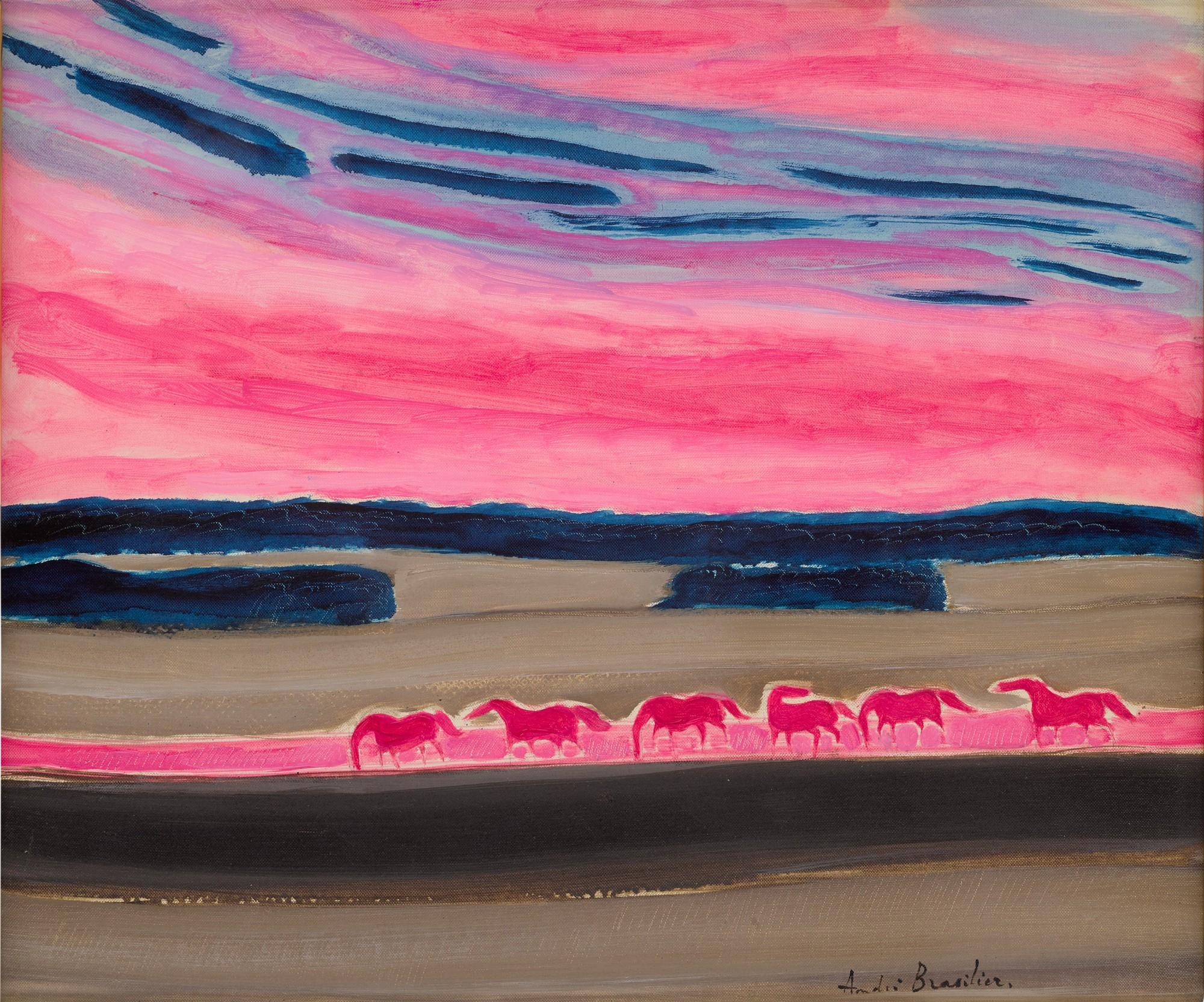 André Brasilier - Le Grand ciel rose