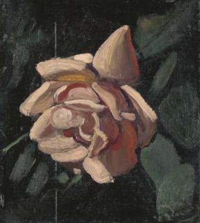 Andre Derain - Rose