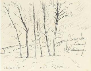 André Dunoyer De Segonzac - Les arbres