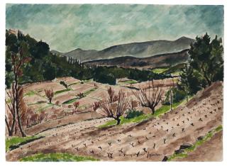 André Dunoyer De Segonzac - Les Vignes