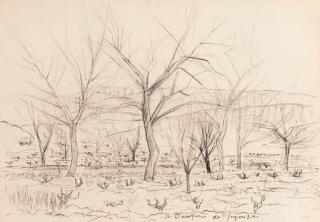 André Dunoyer De Segonzac - Provence