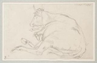 Andre Dunoyer De Segonzac - Vache couchée