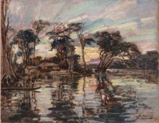 André Hallet - Vue d\'Aketi, Congo