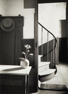 André Kertész - Chez Mondrian