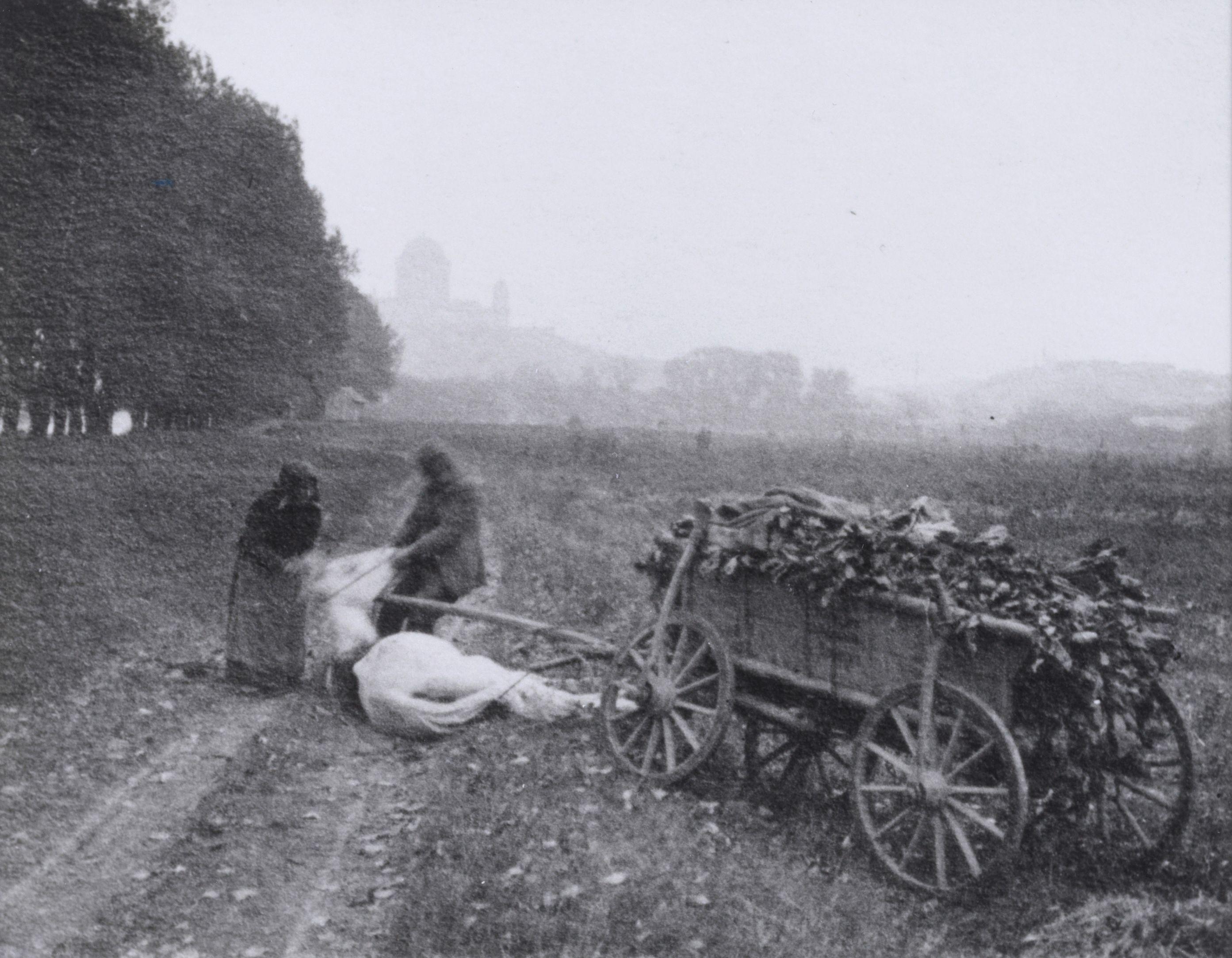 André Kertész - Country Accident, Esztergom, September