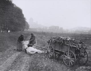 André Kertész - Country Accident, Esztergom, September
