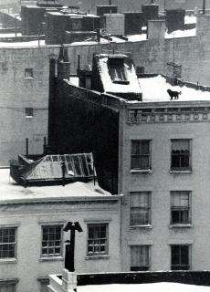 André Kertész - Ohne Titel (Architektur)