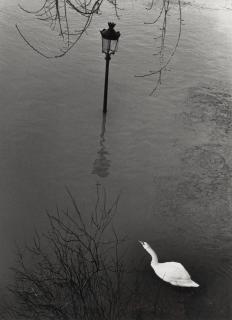 André Kertész - Paris