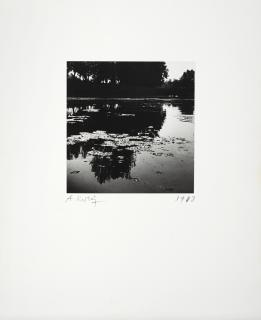Andre Kertesz - Pond with reflection 1913