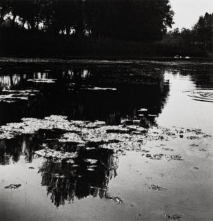 André Kertész - Pond
