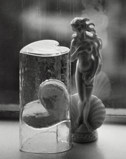 André Kertész - Venus, New York