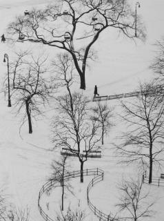André Kertész - Washington Square Park, 1954
