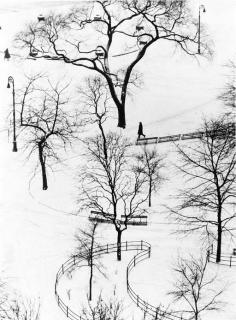 André Kertész - Washington Square Park, New York