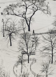 André Kertész - Washington Square, Winter, 1954