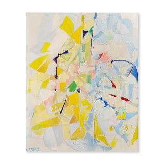 André Lanskoy - Insoumis aux lois terrestres