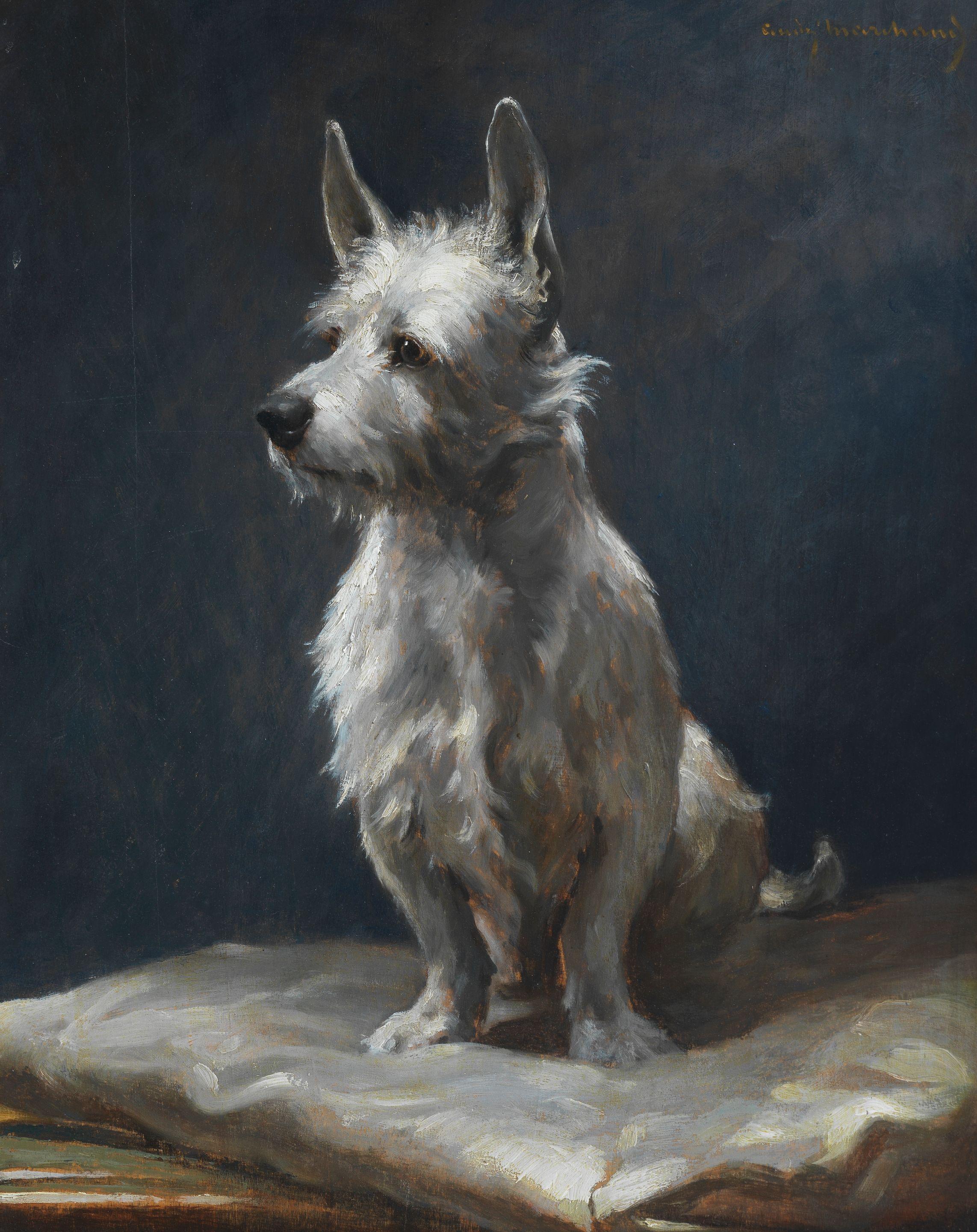 André Marchand - A pampered West Highland Terrier on a silk cushion