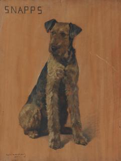 André Marchand - \'Snapps\' - An Airedale Terrier
