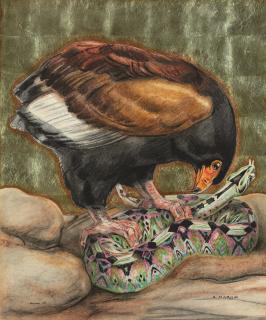 Andre Margat - Eagle and Snake, 1956