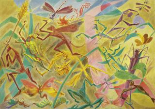 André Masson - Le Jardin Saccagé