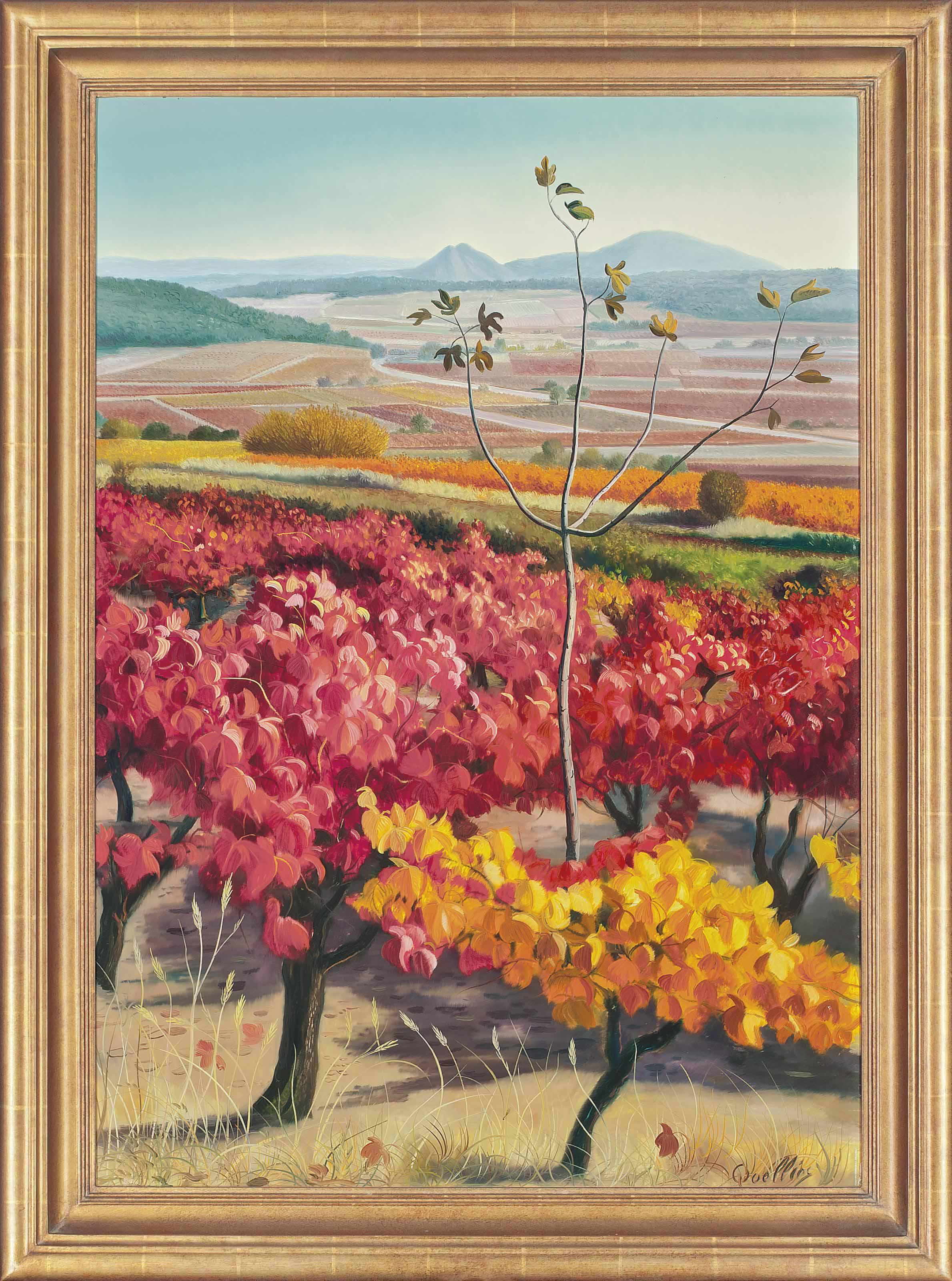 André Quellier - Vineyards, Saint Tropez