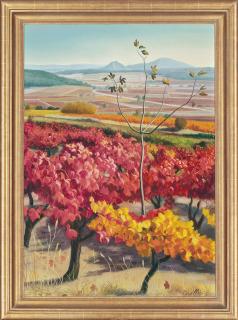 André Quellier - Vineyards, Saint Tropez