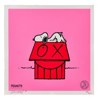 André Saraiva - Snoopy Naps on Red House