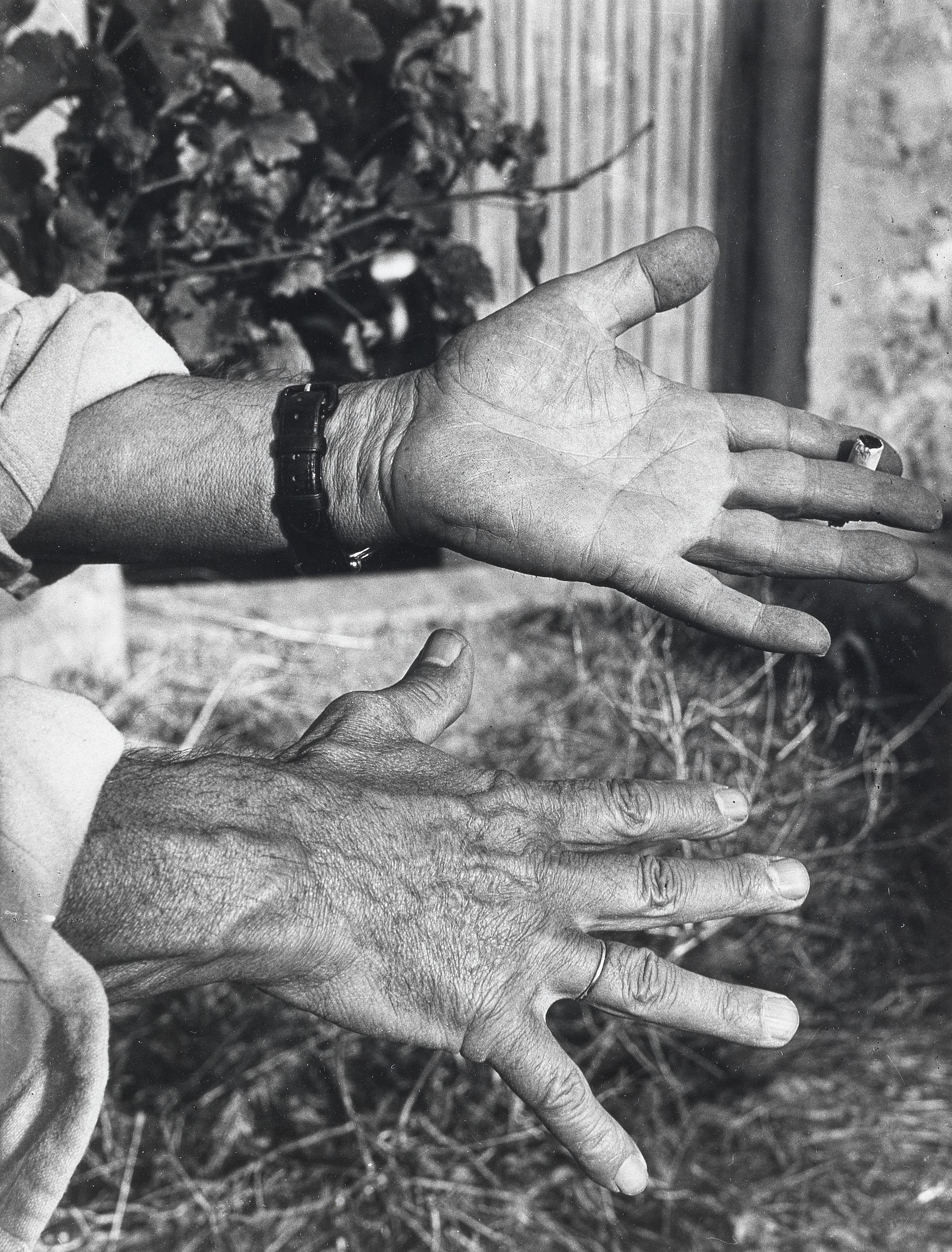 André Villers - Les Mains de Picasso, 1956