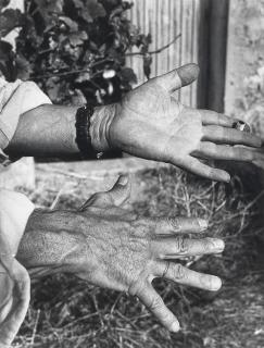 André Villers - Les Mains de Picasso, 1956