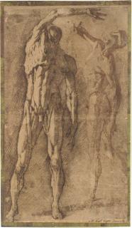 Andrea Boscoli - Two studies of an écorché figure, after Francavilla