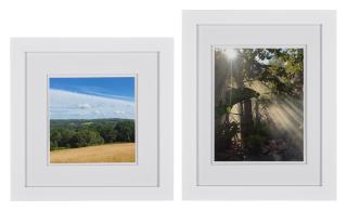 Andrea Crivello - Nature\'s Tapestry