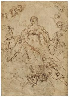 Andrea Sacchi - The Immaculate Conception