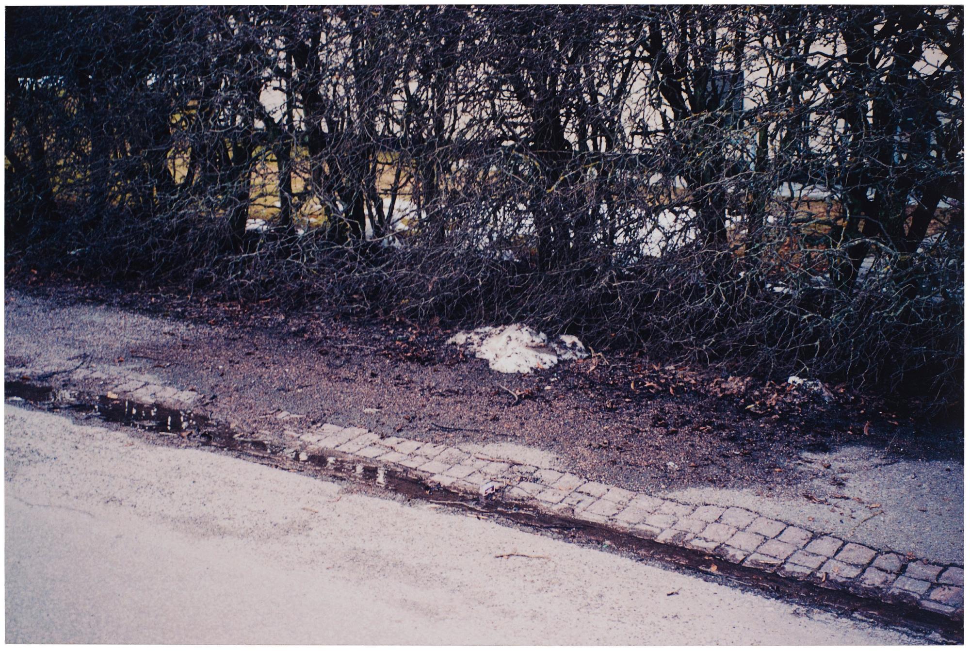 Andreas Eriksson - \'Untitled\', 2010