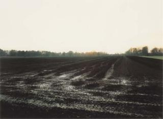 Andreas Gursky - Acker Krefeld