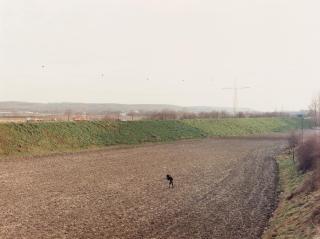 Andreas Gursky - Fotograf, Düsseldorf