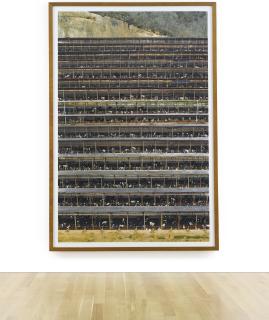 Andreas Gursky - Fukuyama