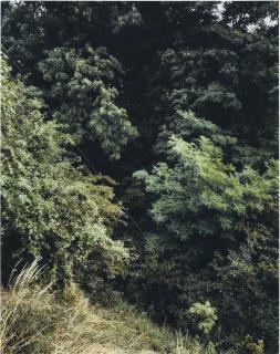 Andreas Gursky - Krefeld 1989