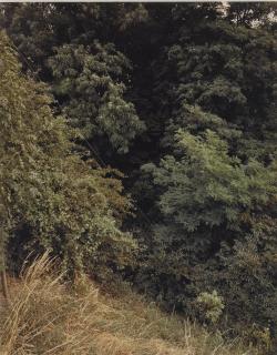 Andreas Gursky - Krefeld