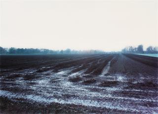 Andreas Gursky - Meerbusch
