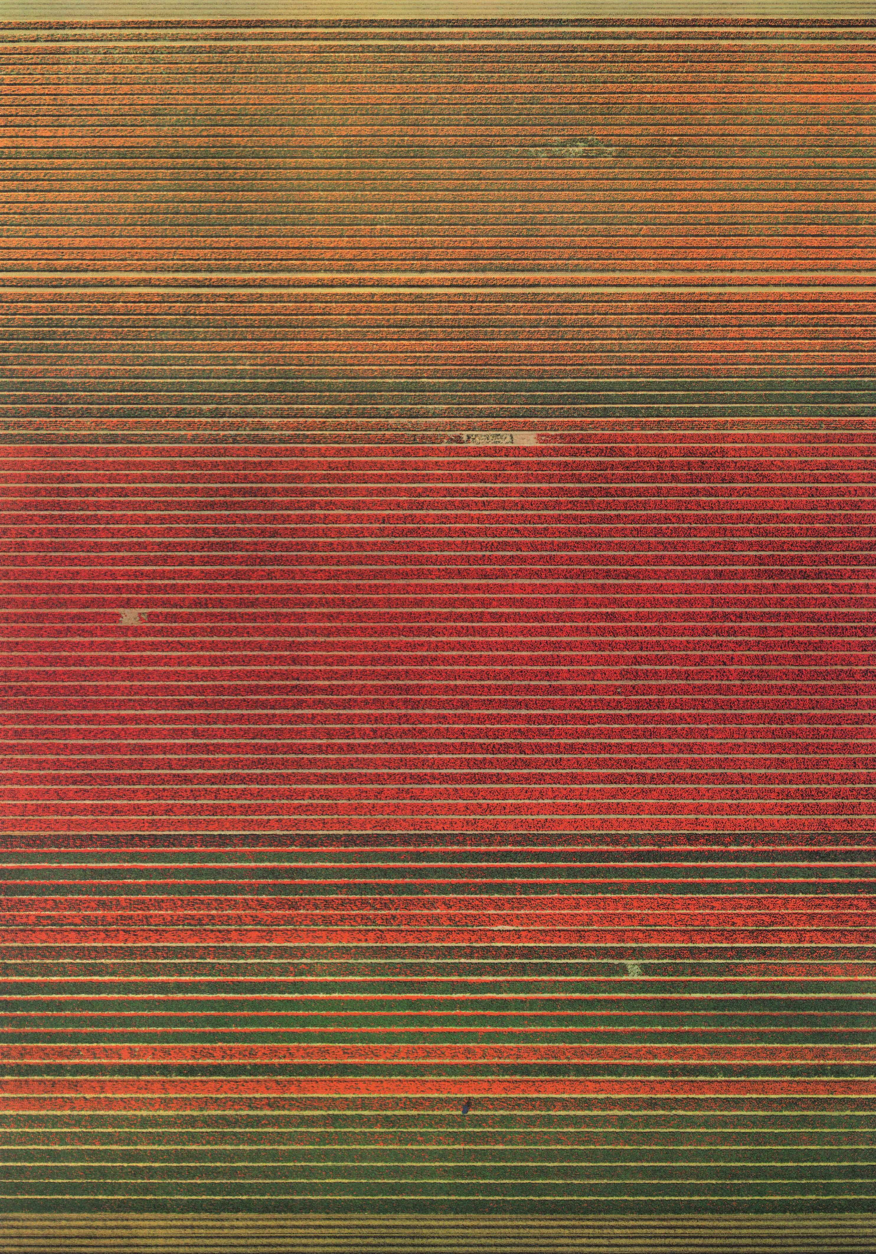 Andreas Gursky - Ohne Titel XVIII