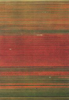 Andreas Gursky - Ohne Titel XVIII