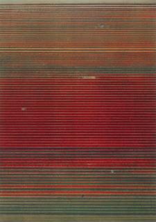 Andreas Gursky - Ohne Titel XVIII