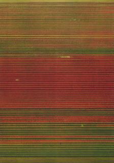 Andreas Gursky - Ohne Titel XVIII