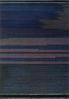 Andreas Gursky - Ohne Titel XX