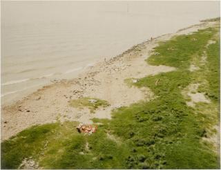 Andreas Gursky - \'Rhein, Düsseldorf\'