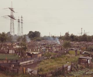 Andreas Gursky - Schrebergarten, Gelsenkirchen, 1989