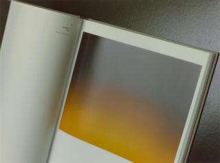 Andreas Gursky - Untitled XVII