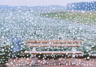 Andreas Schulze - Der erste Schnee.