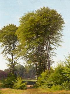 Andreas Thomas Juuel - Hohe Laubbäume am Waldrand