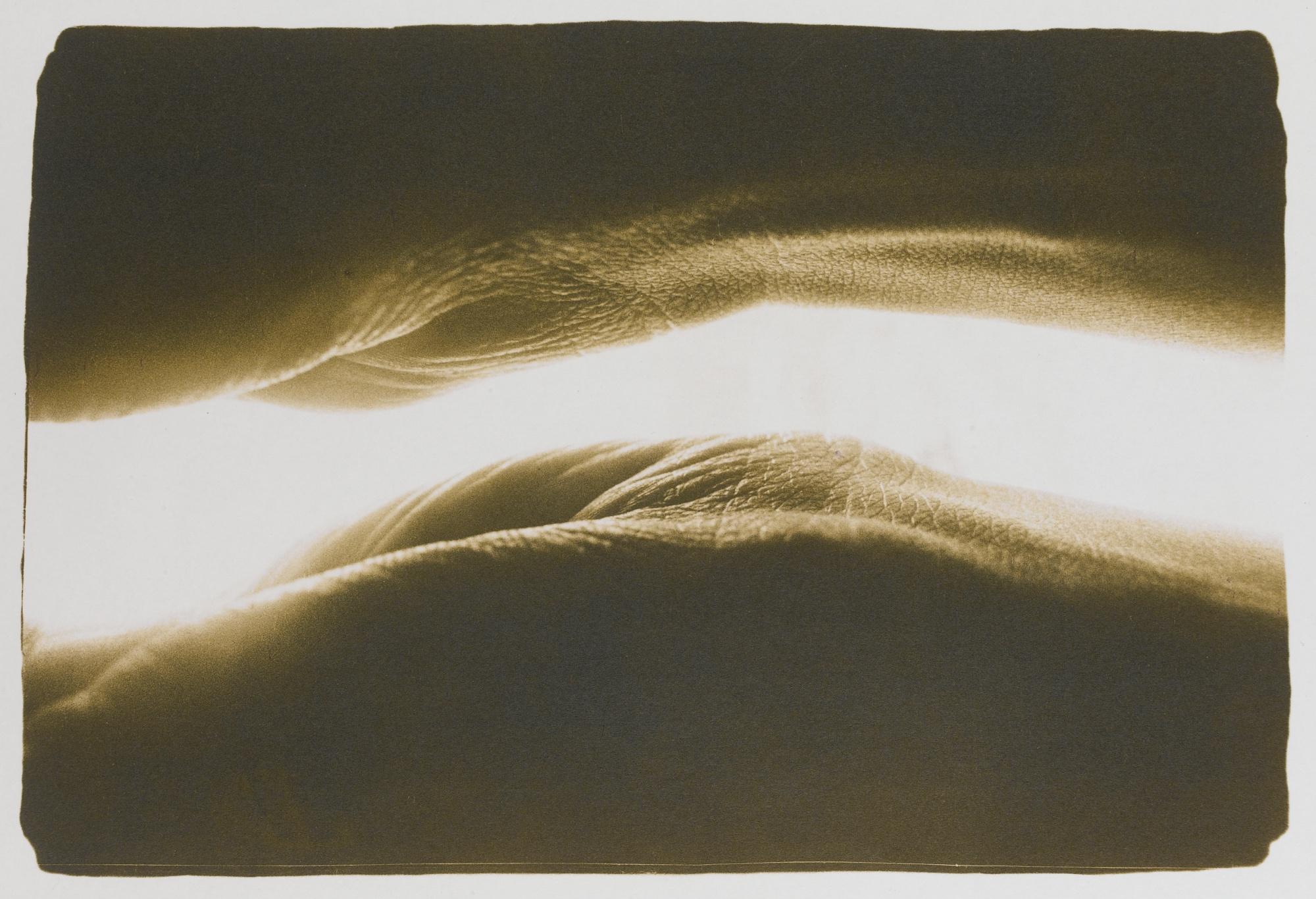 Andrei Chezhin - Eight Works From Hands Series