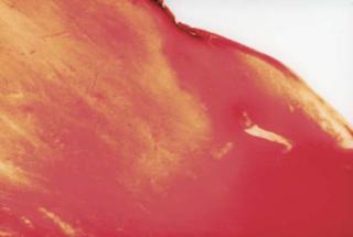 Andres Serrano - Blood and Semen, circa 1990